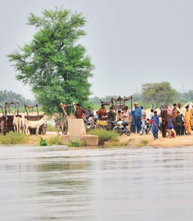 An image of farmers next to a flooded area